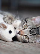 Sfondi Adorable Kitten With Toy Mouse 132x176