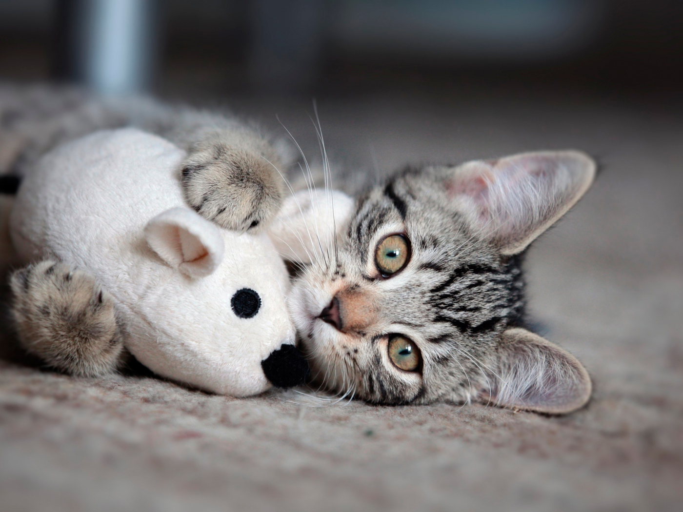 Das Adorable Kitten With Toy Mouse Wallpaper 1400x1050