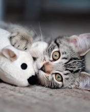 Adorable Kitten With Toy Mouse wallpaper 176x220