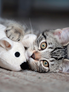 Fondo de pantalla Adorable Kitten With Toy Mouse 240x320