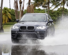 Bmw X5 wallpaper 220x176