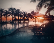 Paradise Beach Resort screenshot #1 220x176
