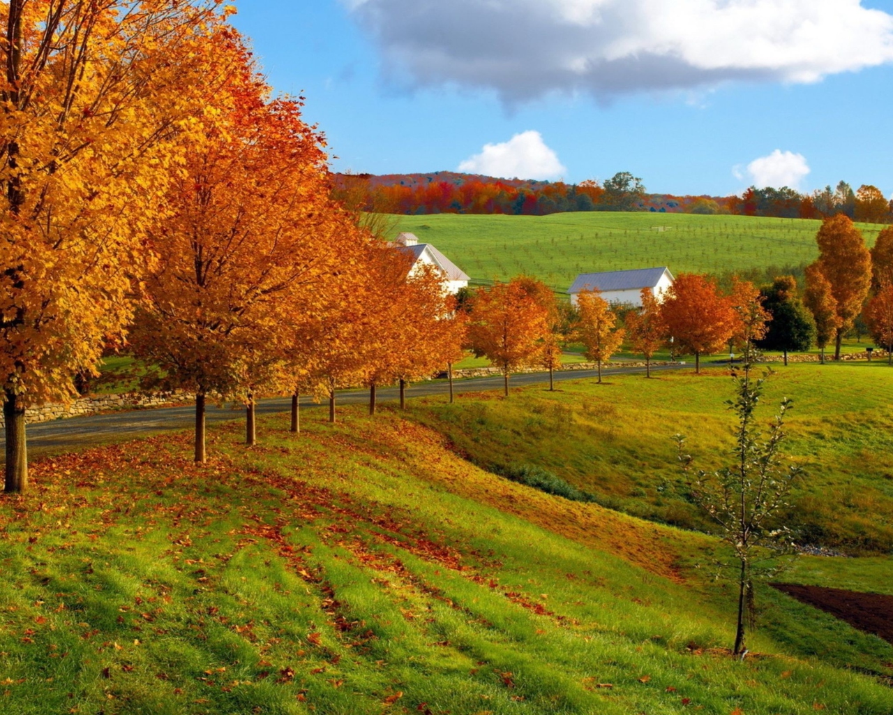 Sfondi Autumn Trees Grass 1280x1024