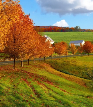 Kostenloses Autumn Trees Grass Wallpaper für Motorola Quench XT3