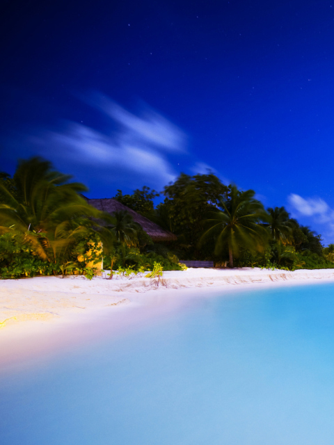 Maldivian Night screenshot #1 480x640