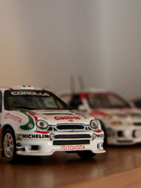 Rally Car screenshot #1 480x640