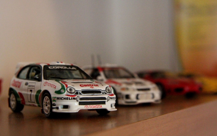 Rally Car screenshot #1