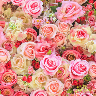 Bush Flowers Pink - Obrázkek zdarma pro iPad Air