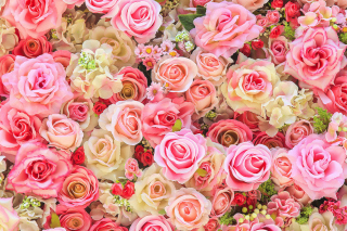 Bush Flowers Pink sfondi gratuiti per Samsung Galaxy Note 4