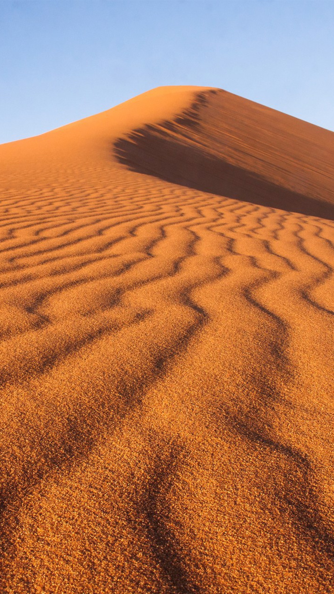Fondo de pantalla Dune in desert 1080x1920