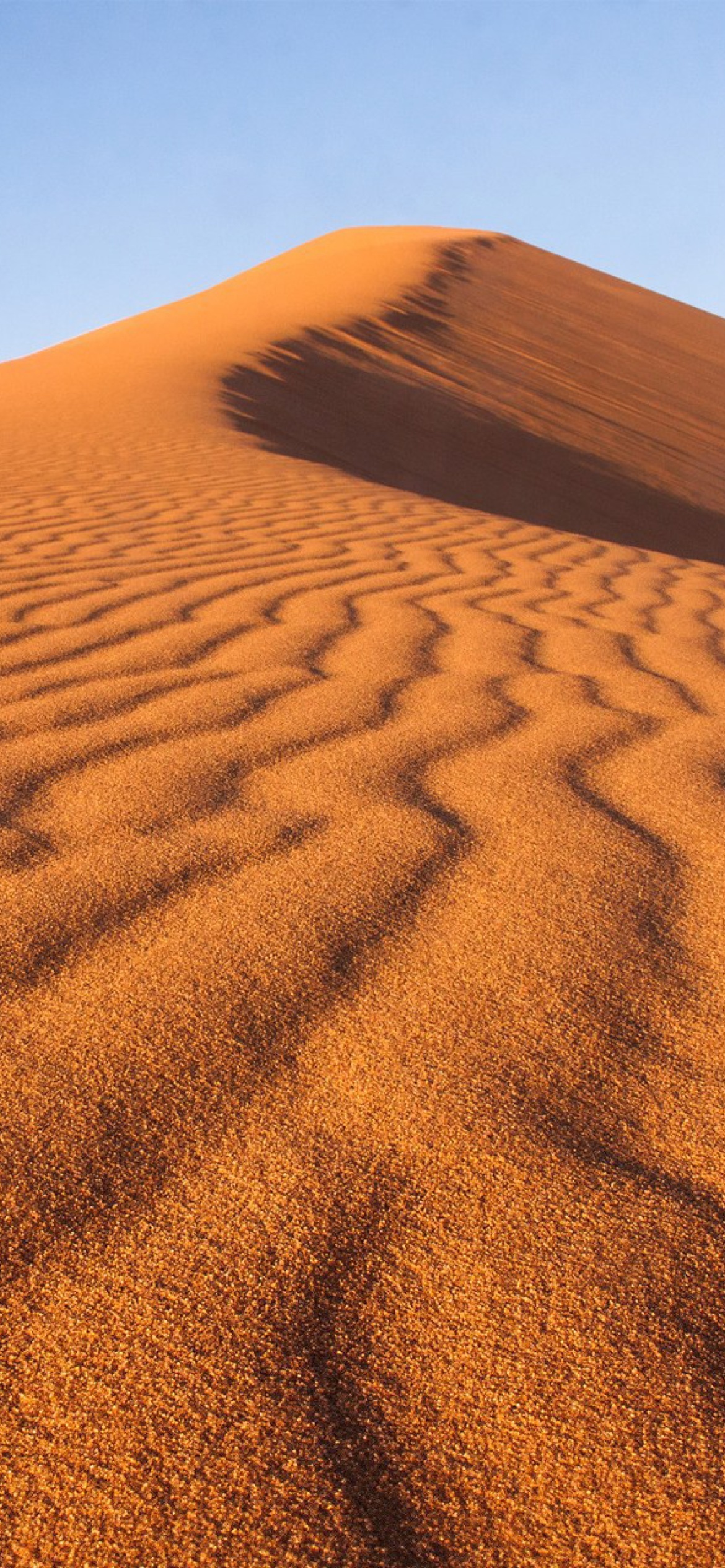 Обои Dune in desert 1170x2532