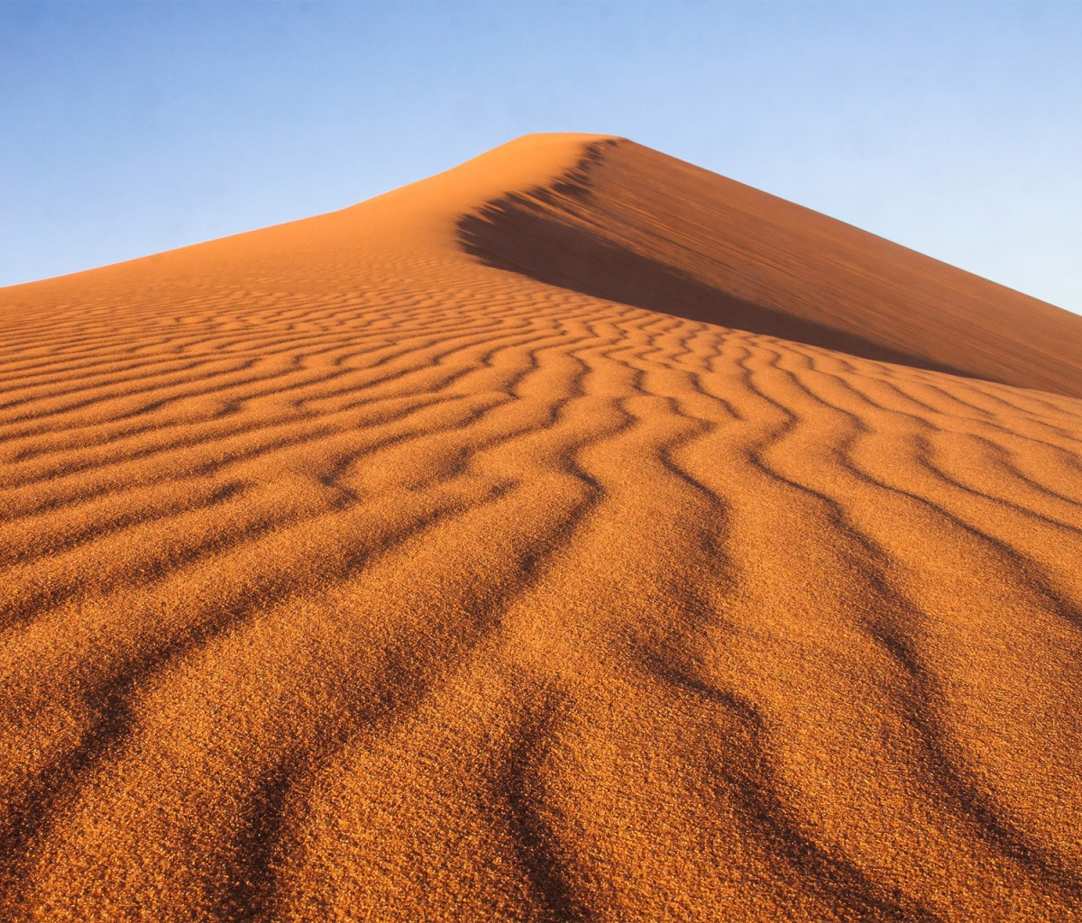 Обои Dune in desert 1200x1024