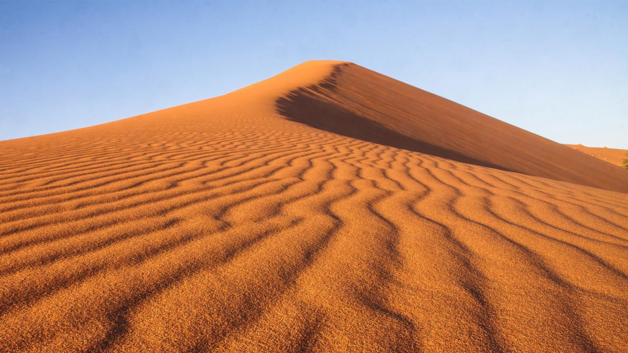 Fondo de pantalla Dune in desert 1280x720