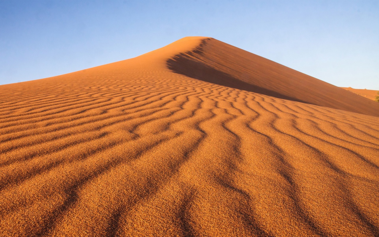 Screenshot №1 pro téma Dune in desert 1280x800