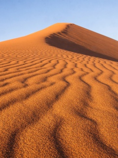 Fondo de pantalla Dune in desert 240x320