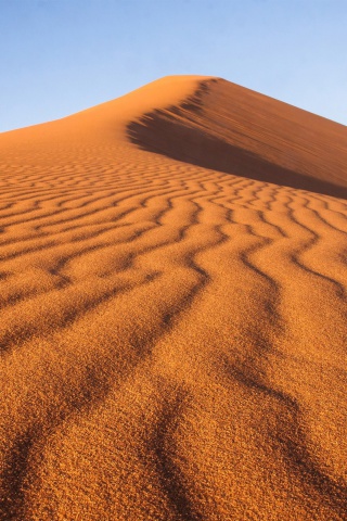 Dune in desert wallpaper 320x480