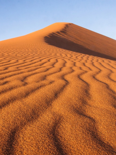 Fondo de pantalla Dune in desert 480x640
