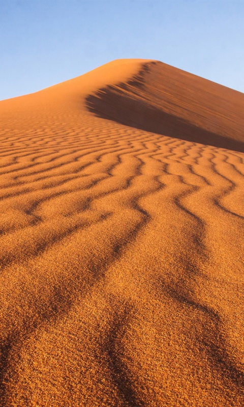 Dune in desert wallpaper 480x800