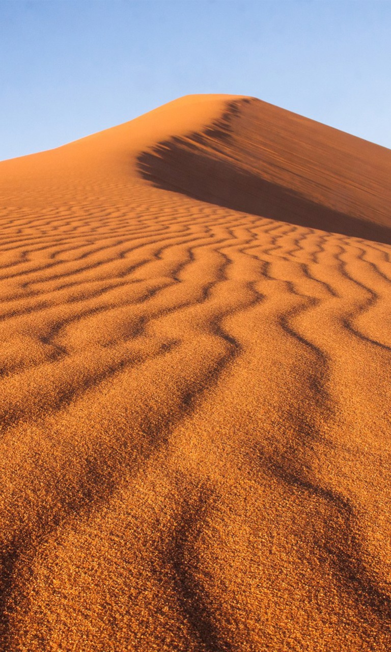 Fondo de pantalla Dune in desert 768x1280