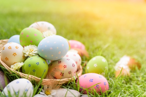 Happy Easter 2020 wallpaper 480x320