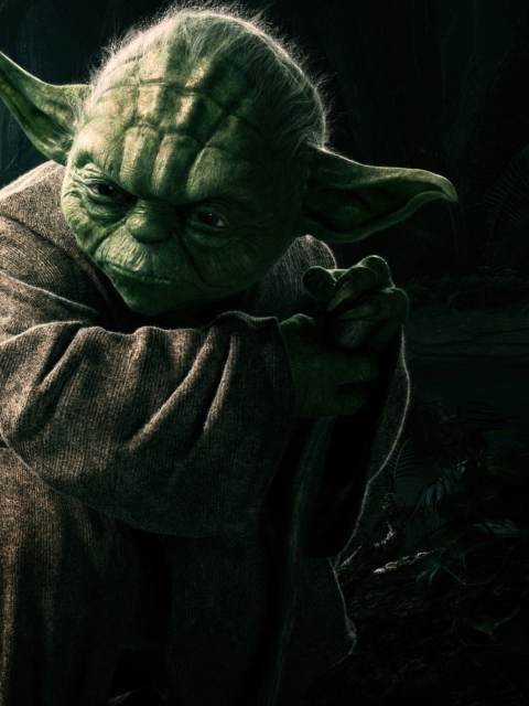 Yoda screenshot #1 480x640