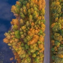 Drone photo of autumn forest wallpaper 128x128