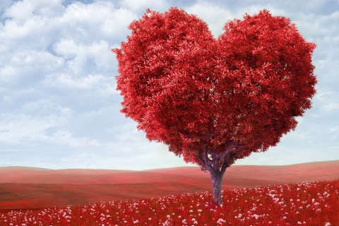 Heart Tree wallpaper 480x320
