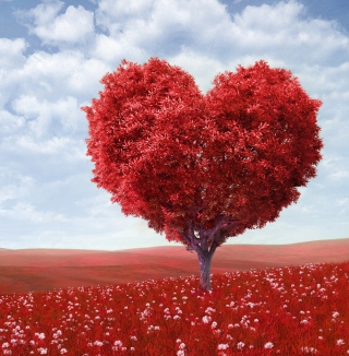 Kostenloses Heart Tree Wallpaper für 1024x1024