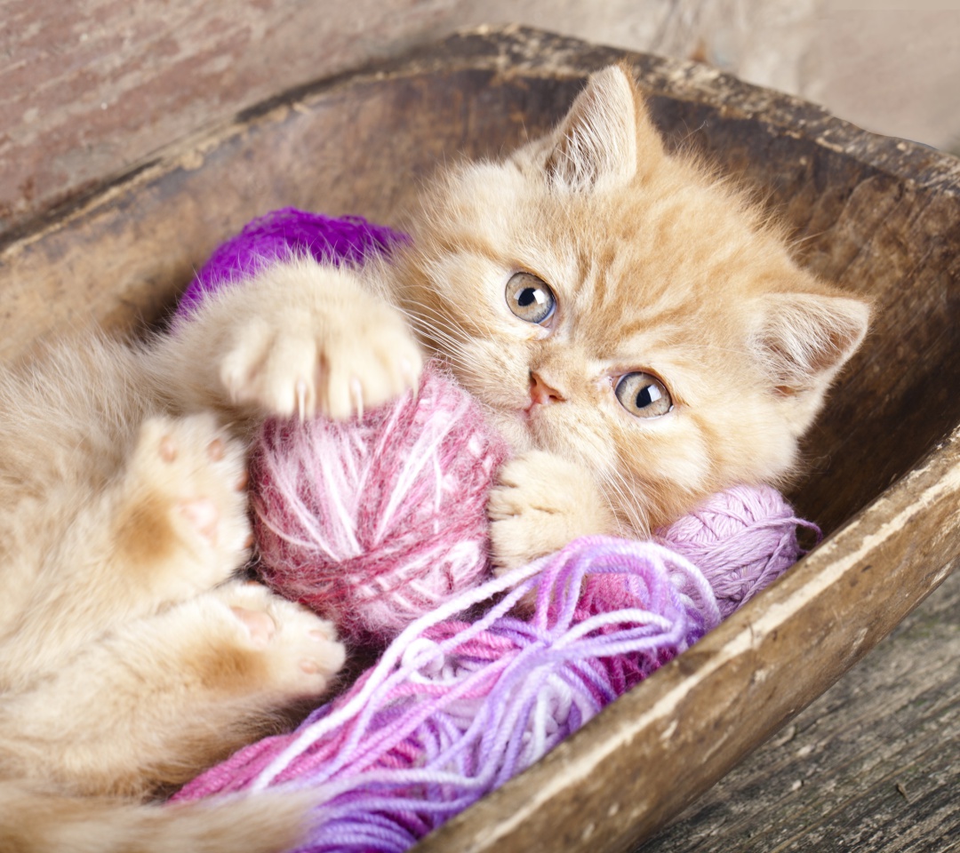 Cute Kitten Playing With A Ball Of Yarn wallpaper 1080x960