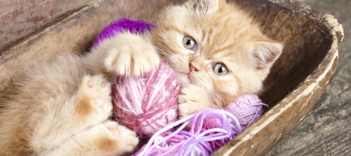 Cute Kitten Playing With A Ball Of Yarn wallpaper 720x320