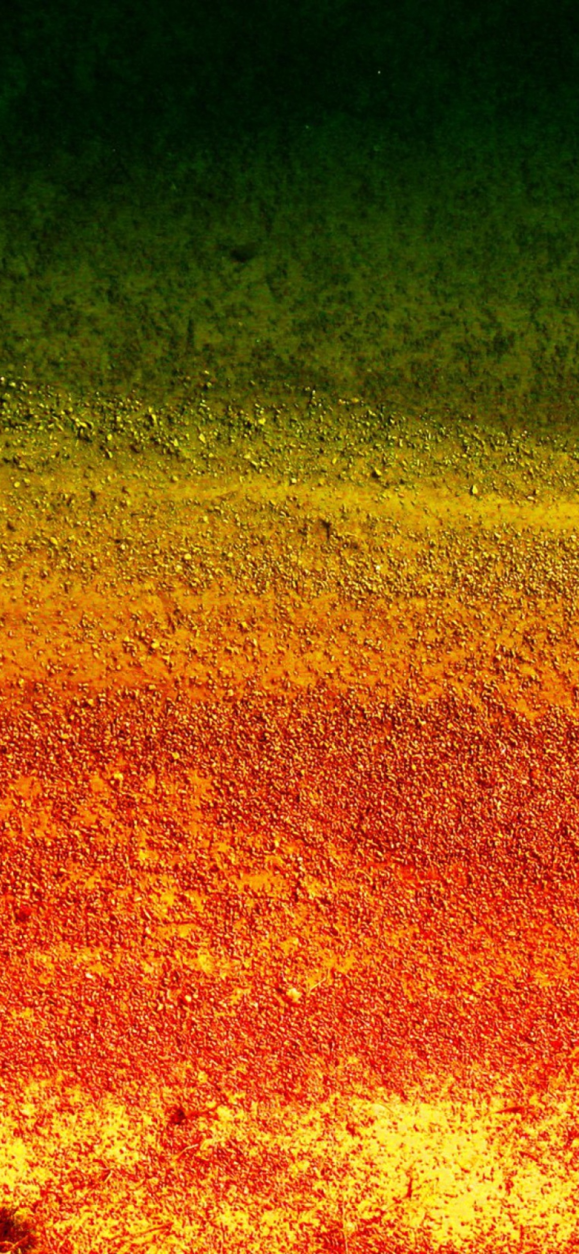 Sfondi Multicolored Wall 1170x2532