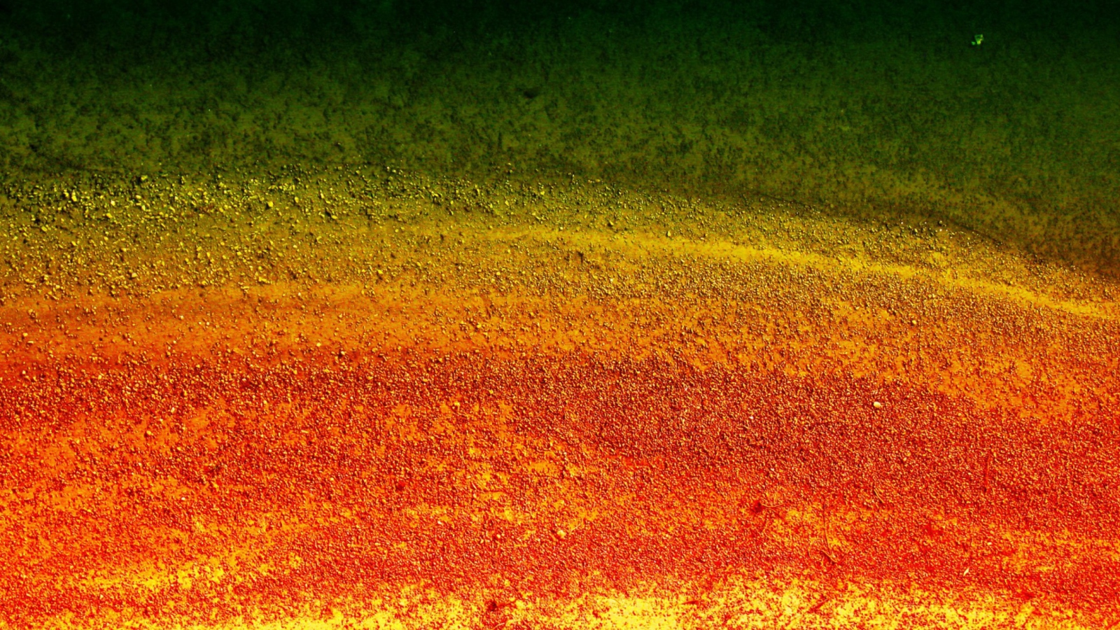 Fondo de pantalla Multicolored Wall 1600x900