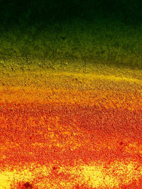 Fondo de pantalla Multicolored Wall 480x640