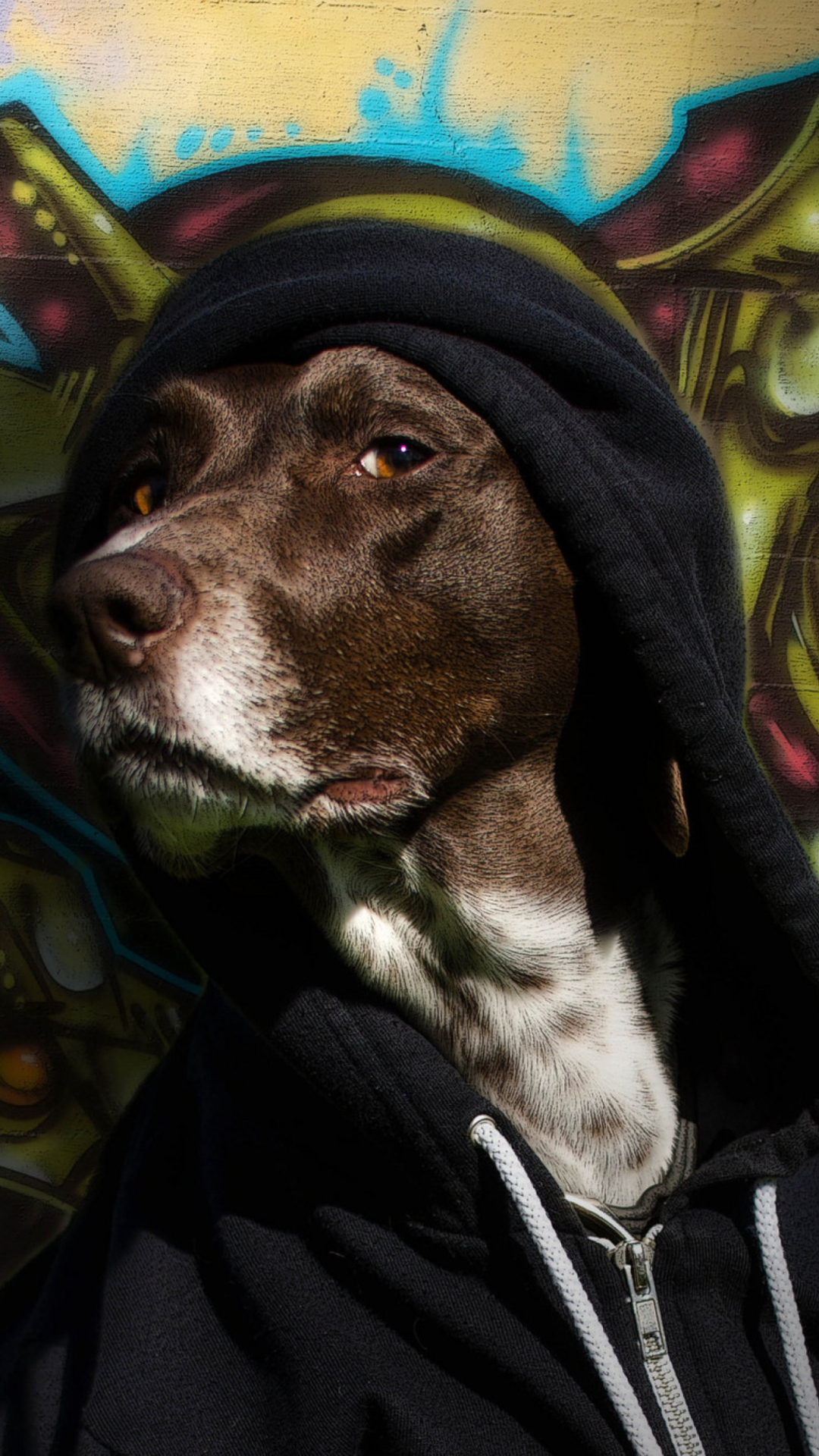 Обои Portrait Of Dog On Graffiti Wall 1080x1920