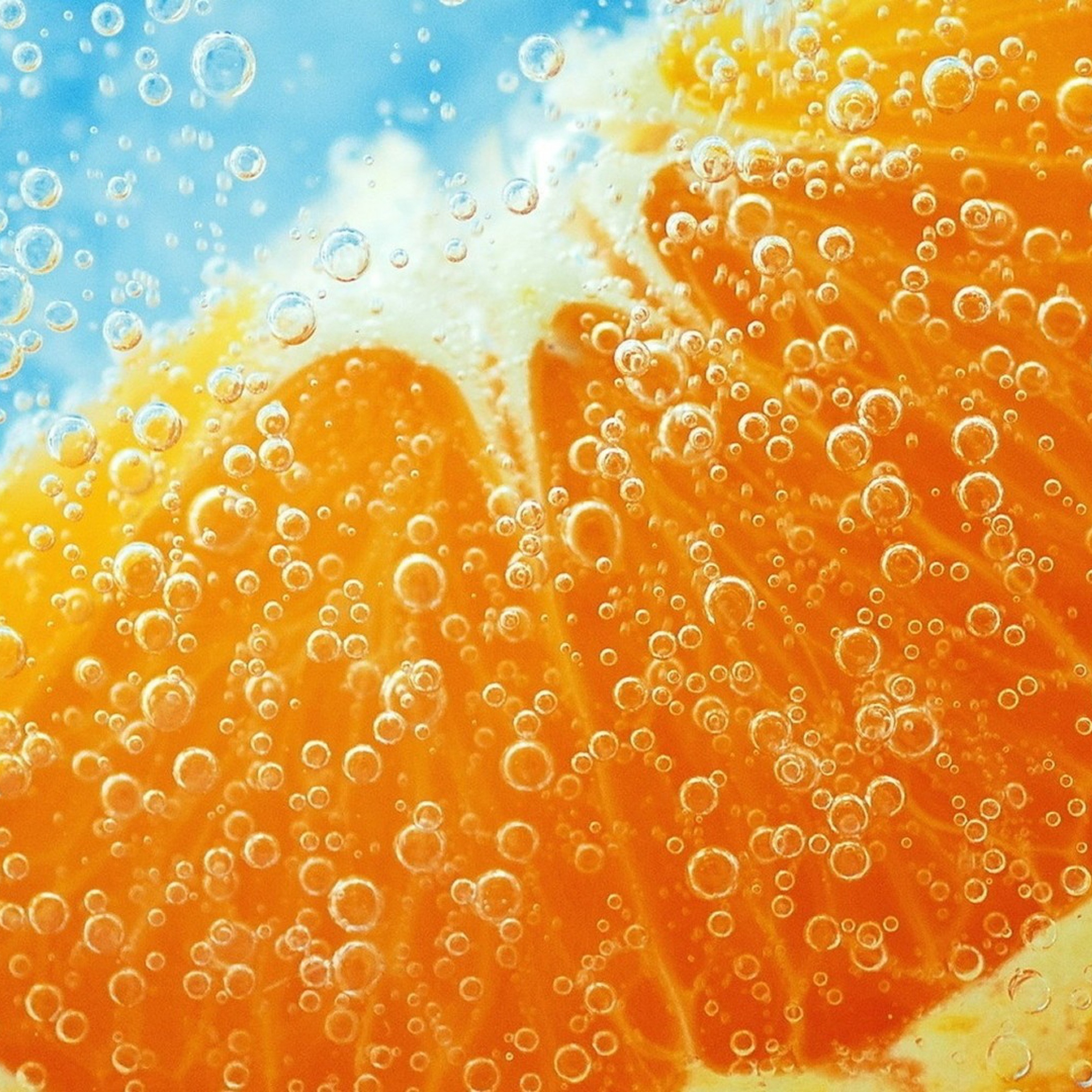 Refreshing Orange Drink wallpaper 2048x2048