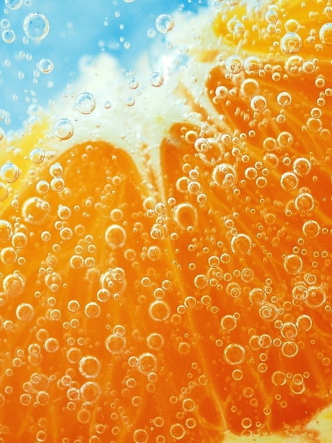 Обои Refreshing Orange Drink 480x640