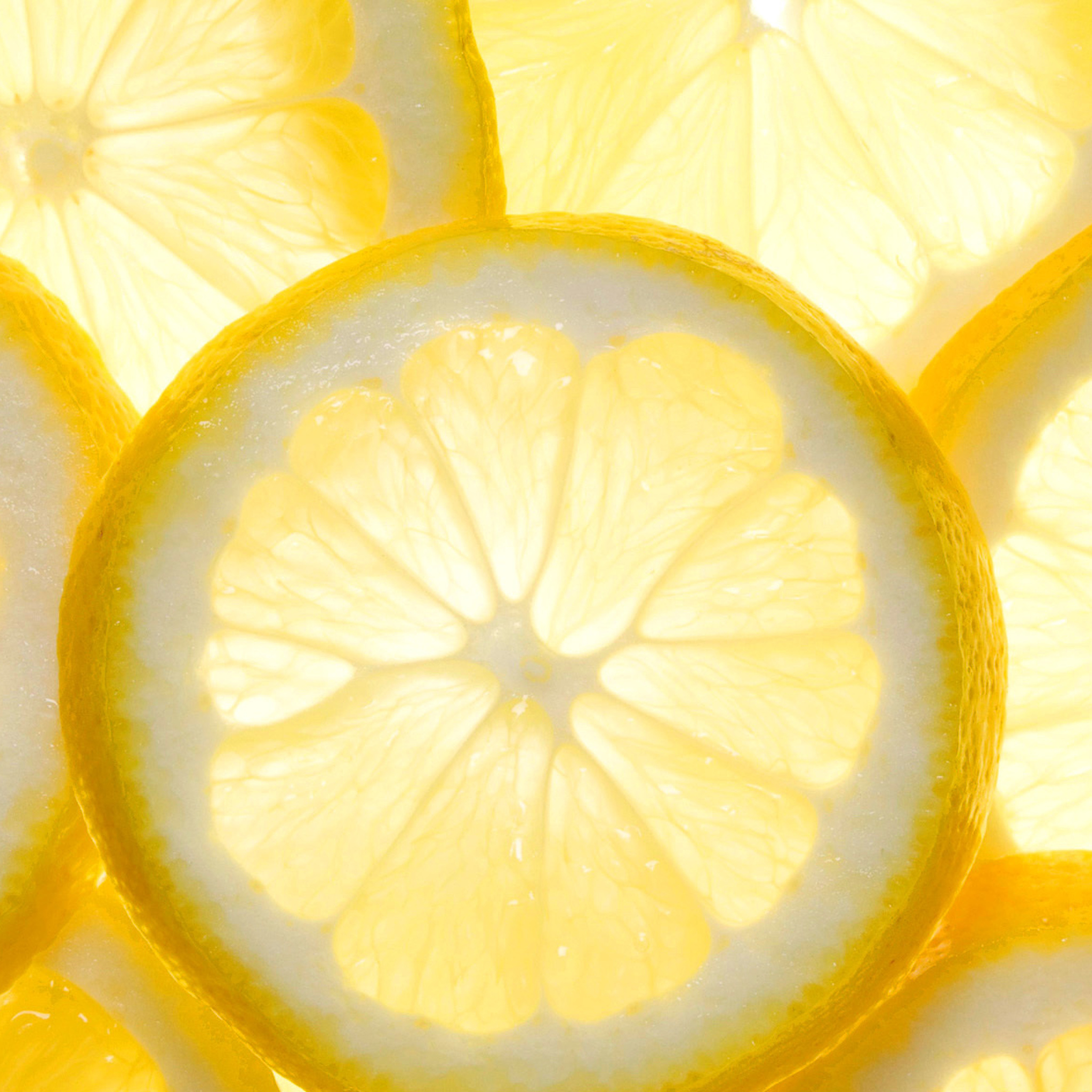 Lemon Slice wallpaper 2048x2048
