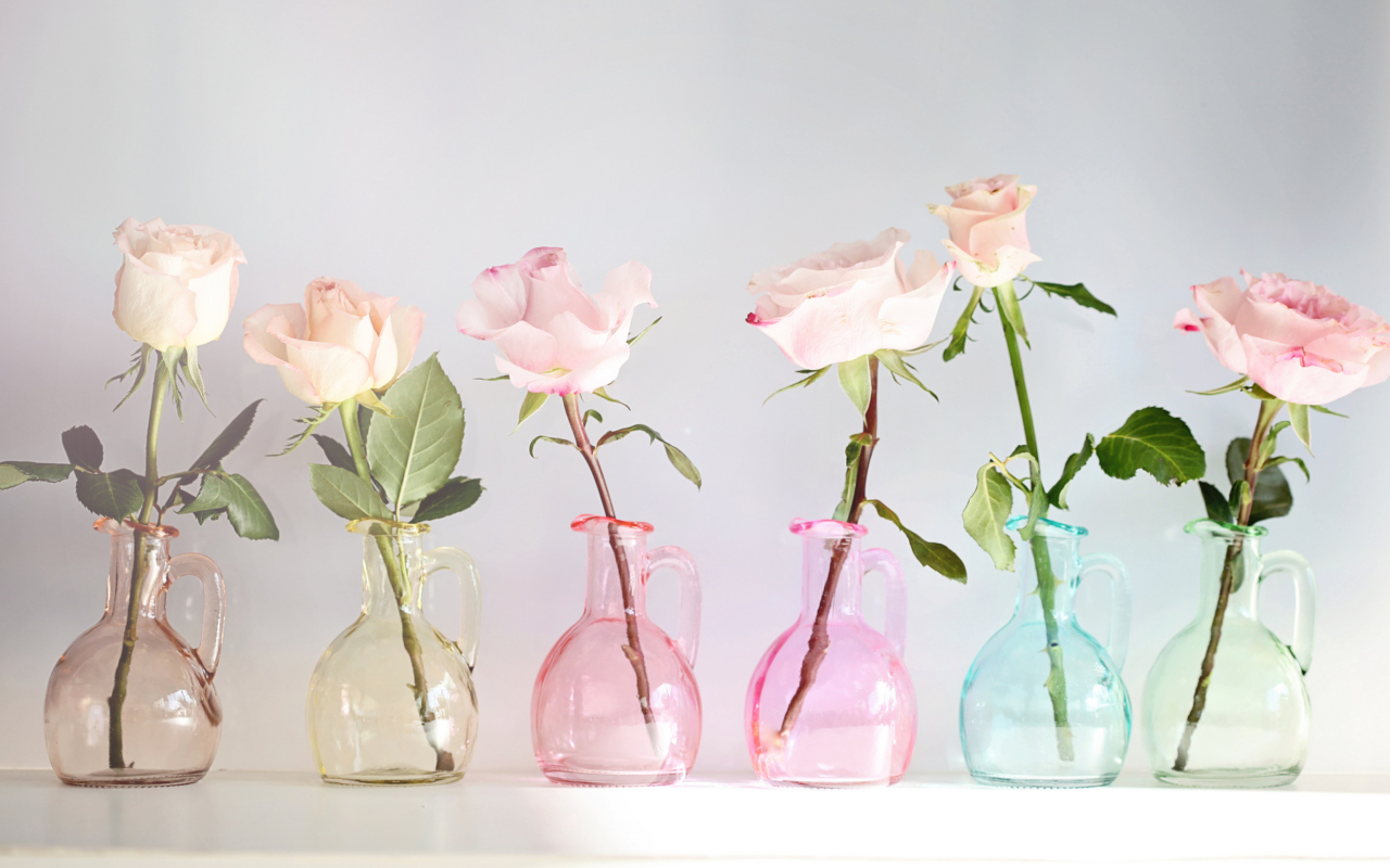 Sfondi Roses In Vases 1280x800