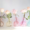Fondo de pantalla Roses In Vases 128x128