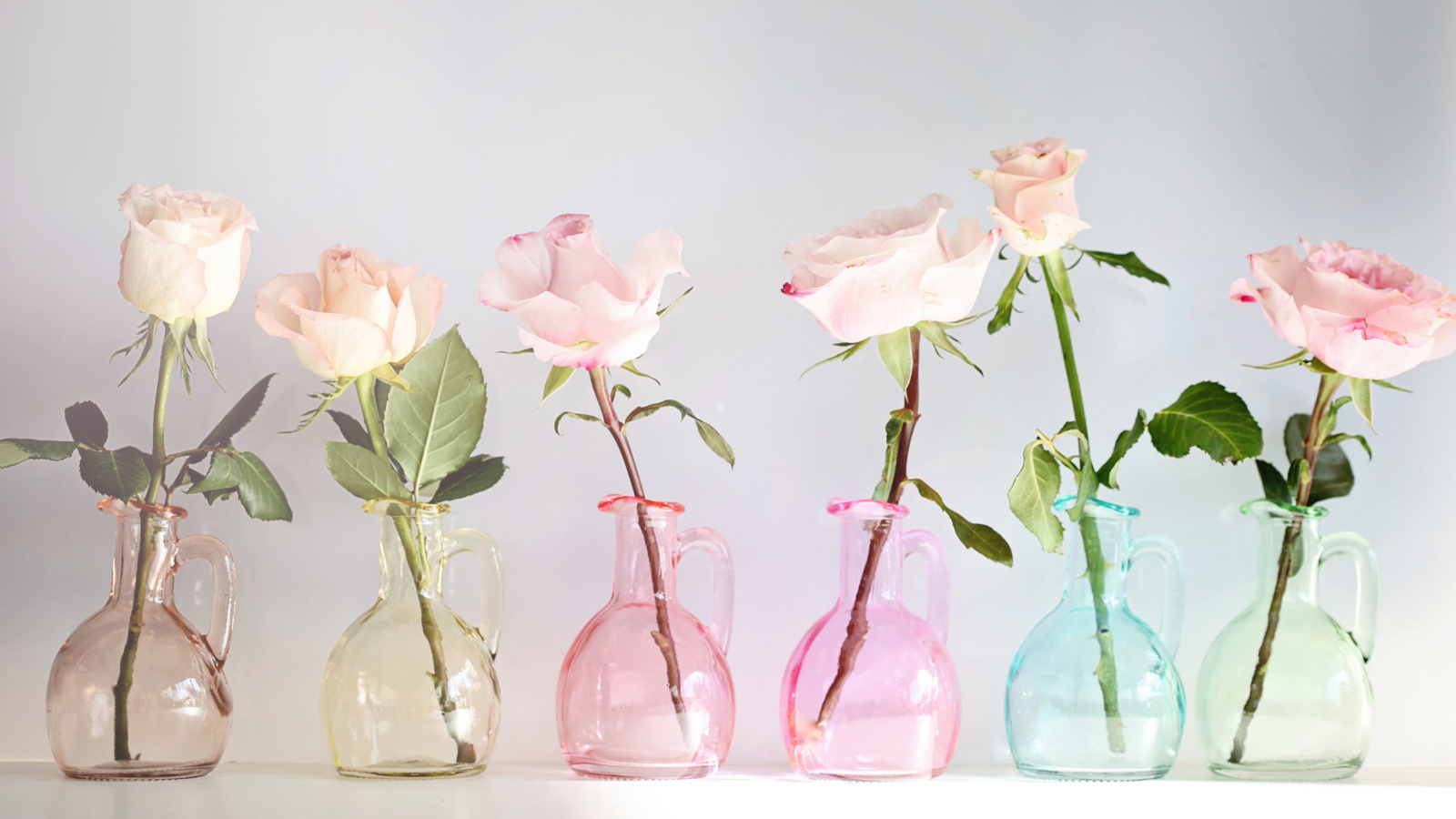 Screenshot №1 pro téma Roses In Vases 1600x900