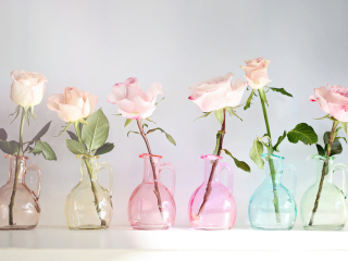 Das Roses In Vases Wallpaper 320x240