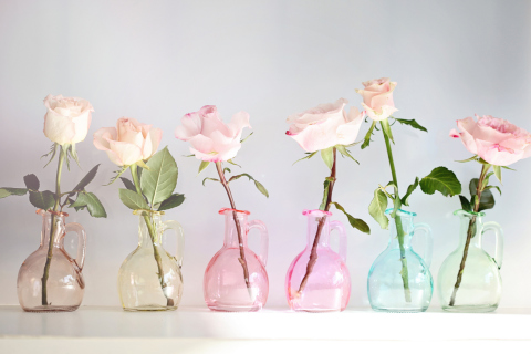 Обои Roses In Vases 480x320