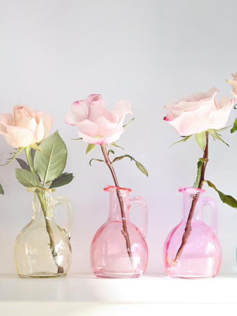 Обои Roses In Vases 480x640