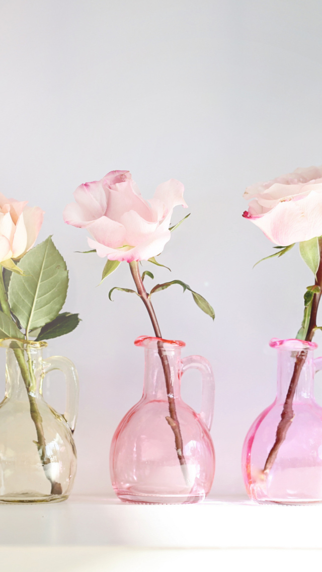 Das Roses In Vases Wallpaper 640x1136