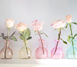 Roses In Vases sfondi gratuiti per 1024x1024