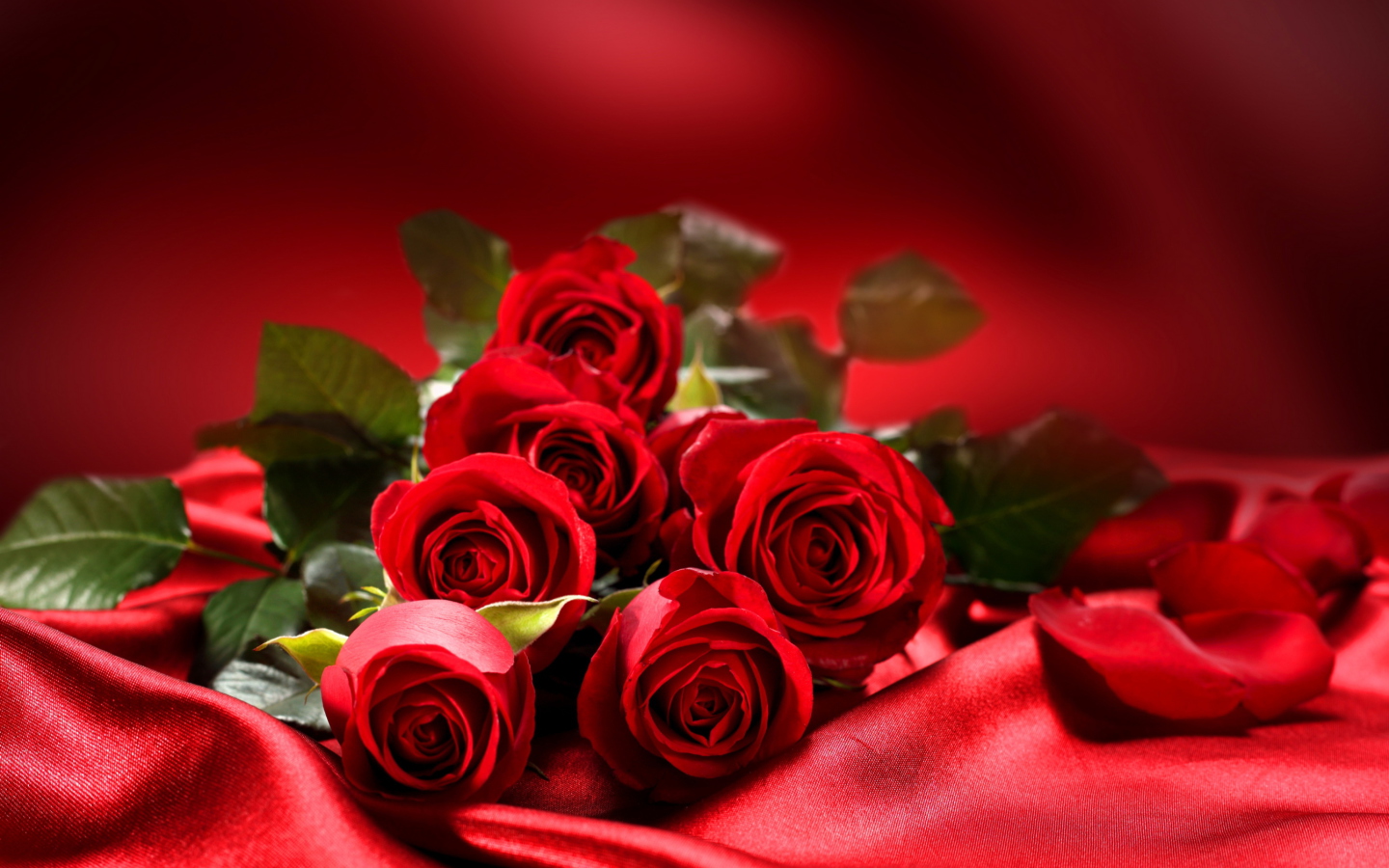 Sfondi Roses 1440x900