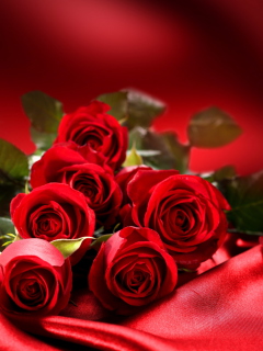 Das Roses Wallpaper 240x320