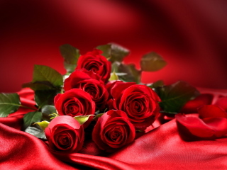 Das Roses Wallpaper 320x240