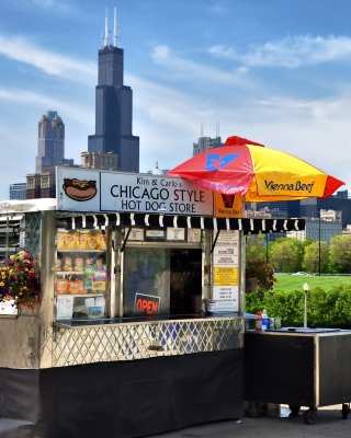 Free Chicago HD Picture for 240x320