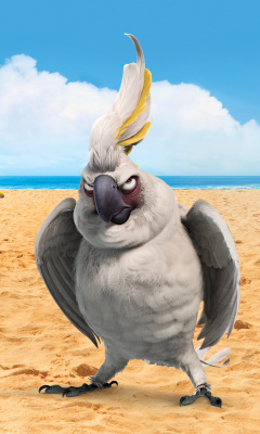 Das Nigel Parrot From Rio Wallpaper 240x400